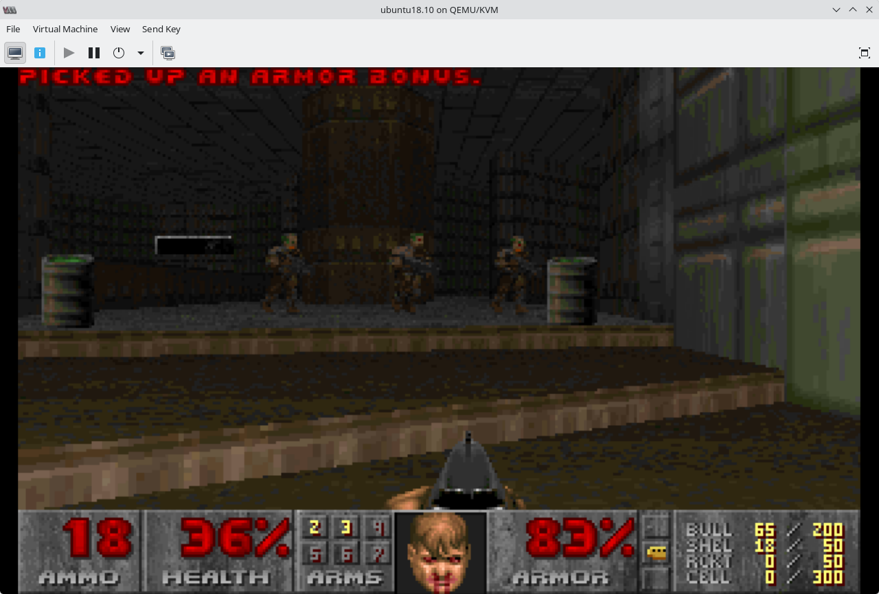 Screenshot of svgalib Linux Doom 1.8 running in Ubuntu 18.10 VM